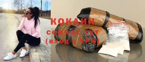 индика Няндома