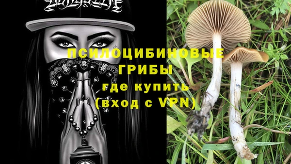 индика Няндома