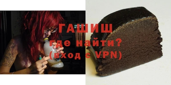 индика Няндома