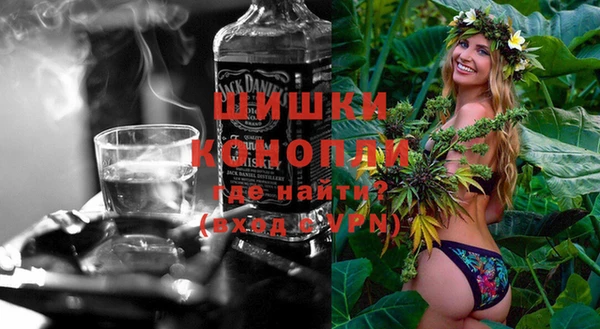 индика Няндома