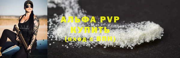 индика Няндома