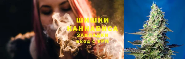 мдпв Нязепетровск