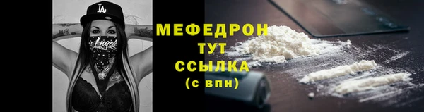индика Няндома