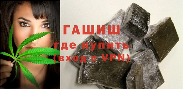 индика Няндома