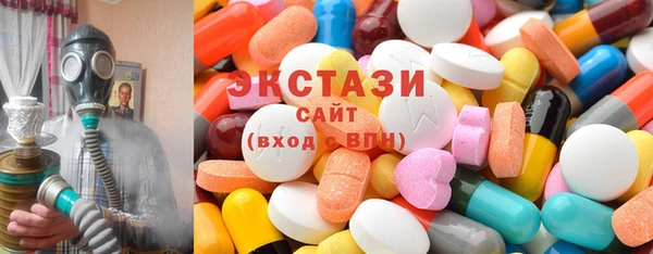 индика Няндома