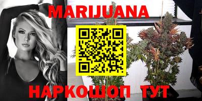 стаф Балахна