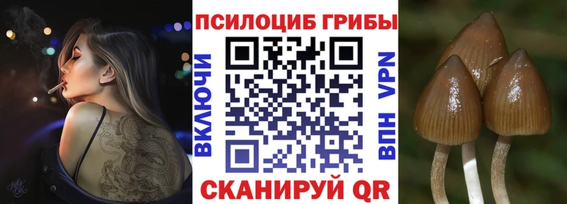 Псилоцибиновые грибы Cubensis  где купить наркоту  Электрогорск 