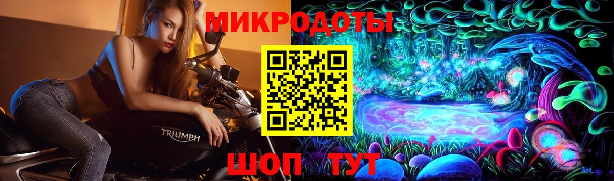 Галлюциногенные грибы прущие грибы Электрогорск