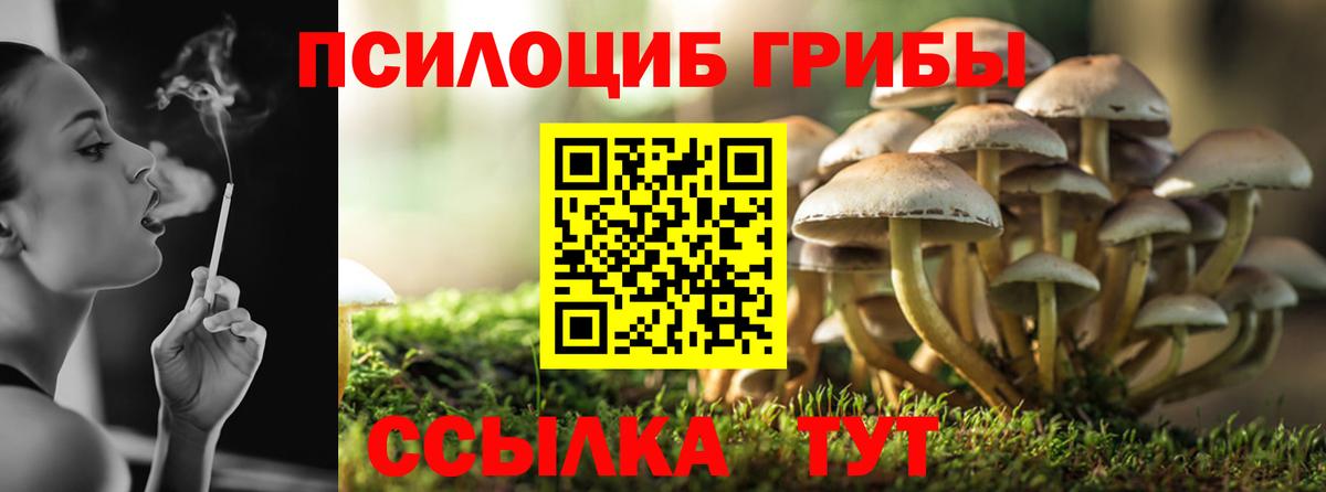 Электрогорск  Галлюциногенные грибы ЛСД  Вход с VPN 